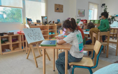 what is a Montessori Environment?